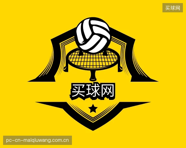 介绍买球网公司